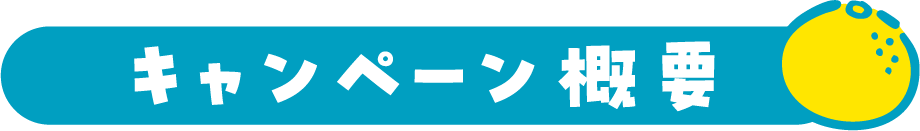 キャンペーン概要